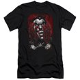 thumbnail image 1 of Batman & Blood in Hands Adult Cotton Premium Canvas Brand Slim Fit 30-1 T-Shirt, Black - Medium, 1 of 1