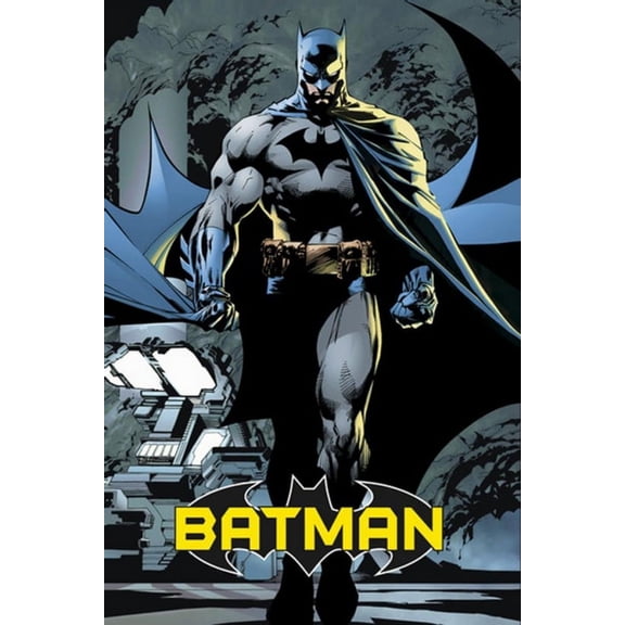 Batman Blue Laminated Poster (24 x 36)
