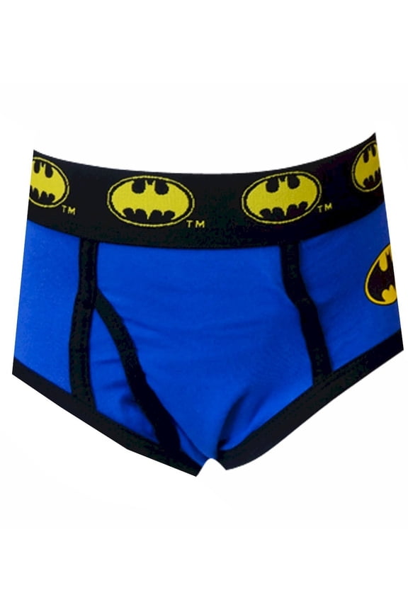 Boys DC Comics Batman Blue Logo Briefs (Medium)