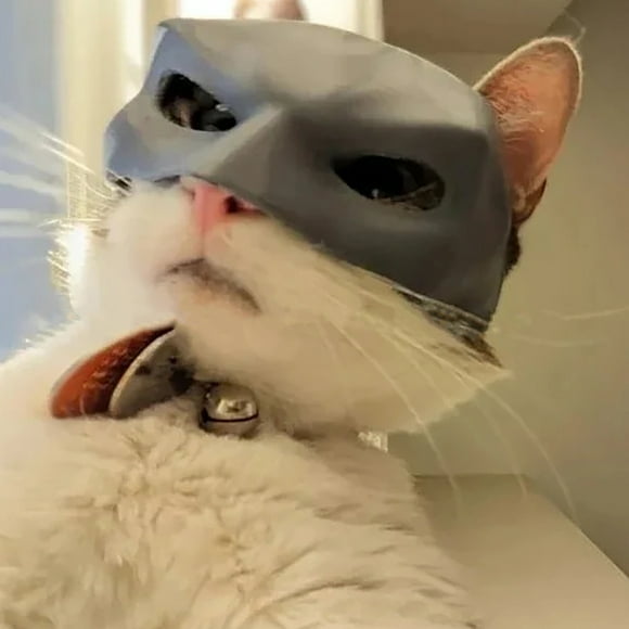 Batman Cat Meme Mask Hilarious Black Bat Mask for Cats, Pet Costume for Halloween or Everyday Fun