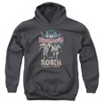 thumbnail image 1 of Batman Classic Tv - Classic Duo - Youth Hooded Sweatshirt - Small, 1 of 2