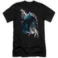 thumbnail image 1 of Batman & Crazy Grin Adult Cotton Premium Canvas Brand Slim Fit 30-1 T-Shirt, Black - Extra Large, 1 of 1