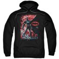 thumbnail image 1 of Batman - Gotham Reign - Pull-Over Hoodie - Small, 1 of 2