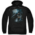 thumbnail image 1 of Batman - Light Of The Moon - Pull-Over Hoodie - XXX-Large, 1 of 2