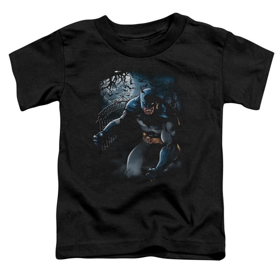 Batman - Light Of The Moon - Toddler Short Sleeve Shirt - 2T