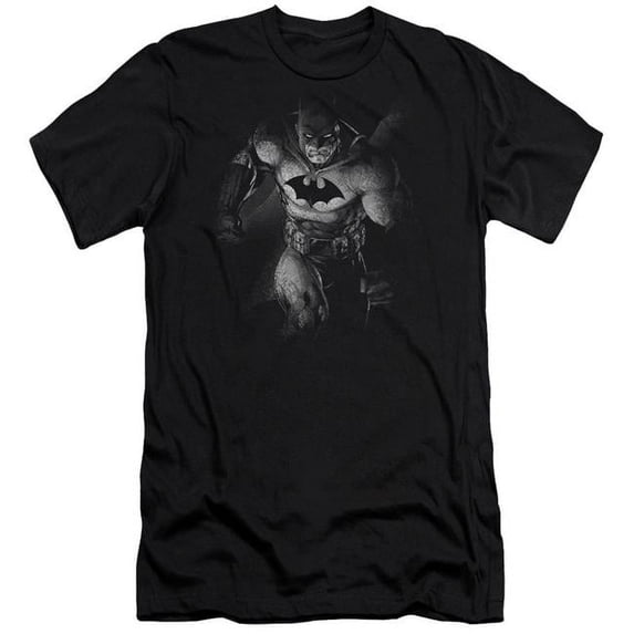Batman & Materialized Adult Cotton Premium Canvas Brand Slim Fit 30-1 T-Shirt, Black - Large