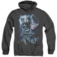 thumbnail image 1 of Batman Moonlight Cat Adult Heather Hoodie Sweatshirt Black, 1 of 1
