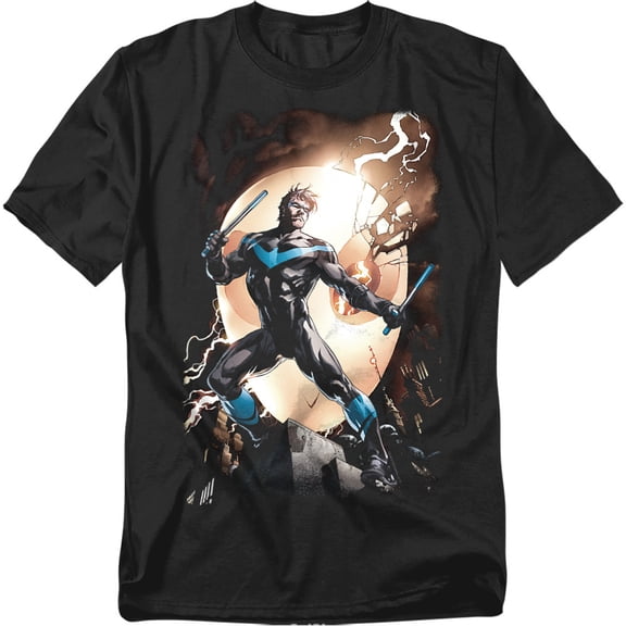 Batman T-Shirt Nightwing Against Owls Unisex Graphic Tee For Men & Women