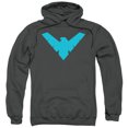 thumbnail image 1 of Batman - Nightwing Symbol - Pull-Over Hoodie - Large, 1 of 2