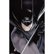 Batman - Portrait Poster Print (22 x 34)