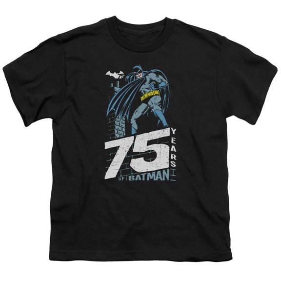 Batman - Rooftop - Youth Short Sleeve Shirt - Large