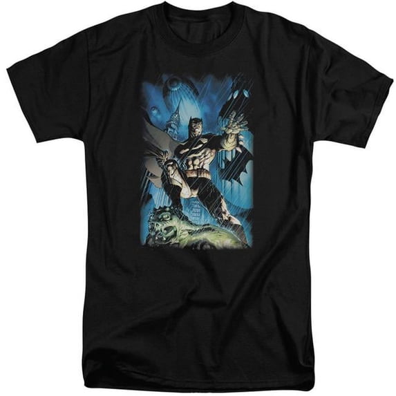 Batman & Stormy Dark Knight Adult Cotton Tall Fit Short Sleeve T-Shirt, Black - 3X