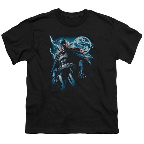 Batman/Stormy Knight Big Boys Youth Shirt