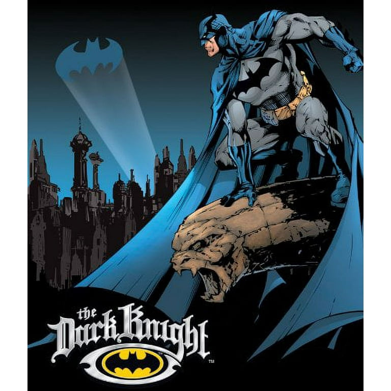 BATMAN dark knight FILMCELLS ダークナイト Amazon.com: Batman - The Dark Knight - FilmCells 11” x 13