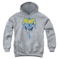 thumbnail image 1 of Batman - Vintage Run - Youth Hooded Sweatshirt - Large, 1 of 2