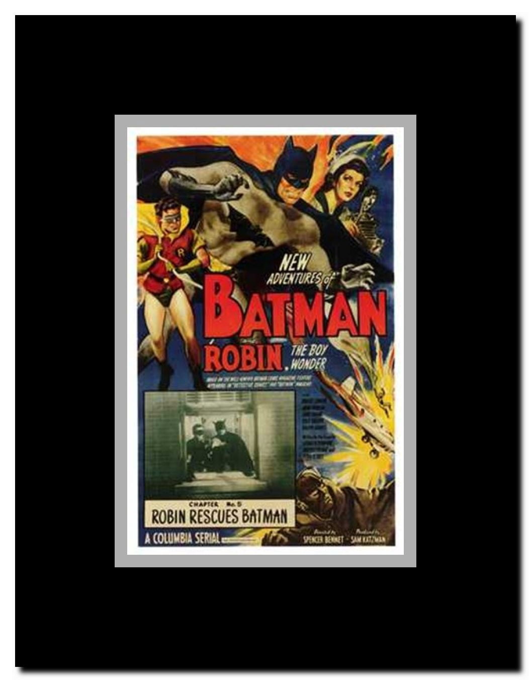 Batman and Robin Framed Movie Poster