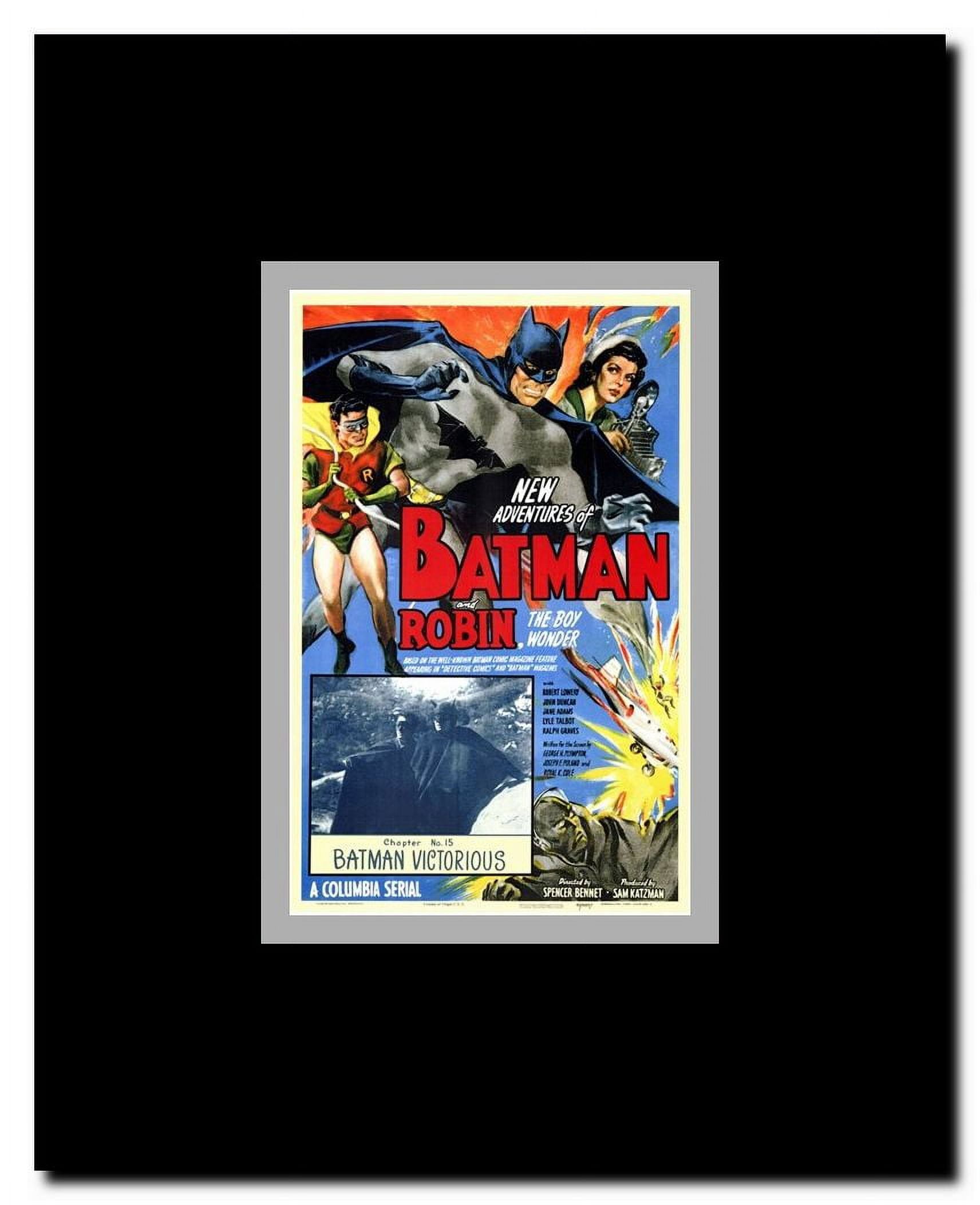 Batman and Robin Framed Movie Poster