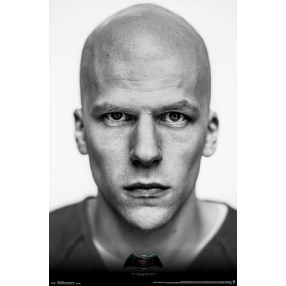 Batman vs. Superman - Luthor Laminated Poster Print (22 x 34)