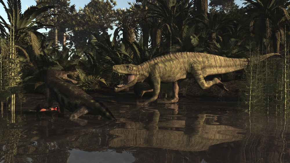 Batrachotomus confronts a Nothosaurus in the Triassic period Canvas Art - Arthur DoretyStocktrek Images (37 x 21)