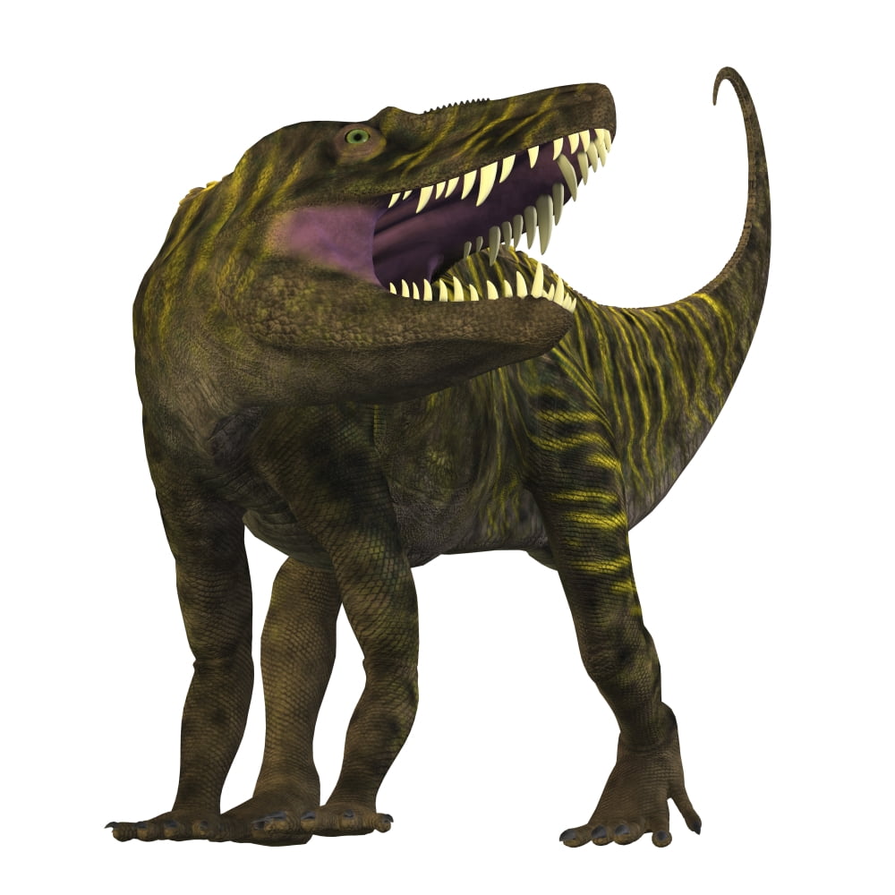 Batrachotomus roaring white background Canvas Art - Corey FordStocktrek Images (28 x 28)