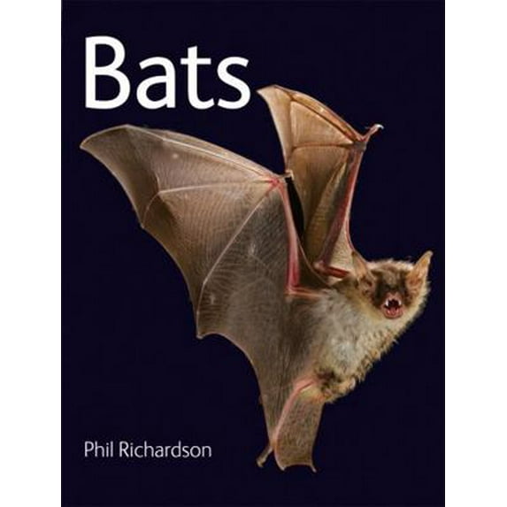 Pre-Owned Bats (Paperback) 1554078032 9781554078035
