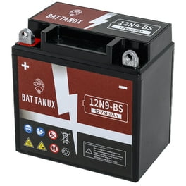 EverStart Platinum AGM Automotive Battery, Group Size H7 / LN4