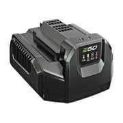 Battery Charger, 120V AC, 1 56V CH2100