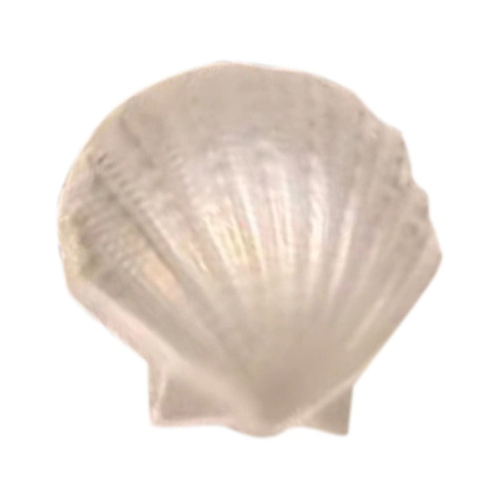 Battery Operated Christmas Lights Outdoor Wire Indoor Christmas Lights