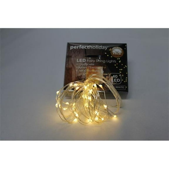 Battery Operated Copper 40 LED String Light with Timer - Warm White