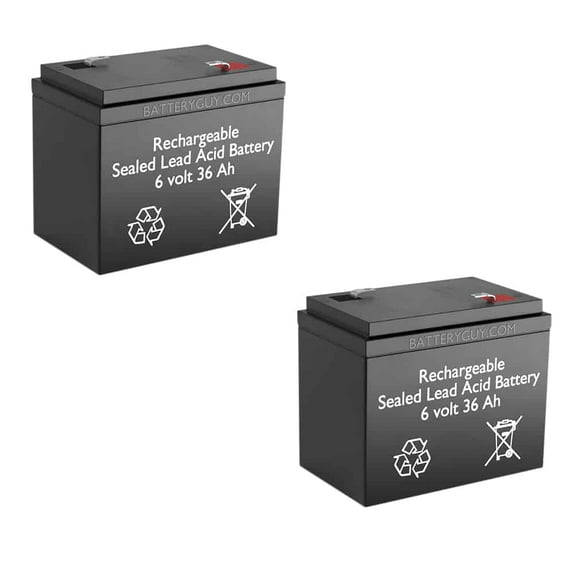 BatteryGuy ELS EDS6330 replacement 6V 36AH battery - BatteryGuy brand equivalent (Qty of 2)
