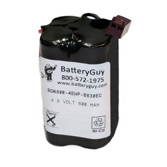 BatteryGuy Replacement for the CUSTOM-58 battery (rechargeable)