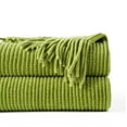 thumbnail image 1 of Battilo Apple Green Throw Blanket for Sofa, Cozy Soft Chenille Knit Throws with Tassels for Home Decor, Green Throws for Spring, 50"x60", 1 of 7