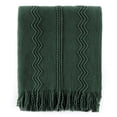 thumbnail image 1 of Battilo Dark Green Throw Blanket with Fringe,Green Knit Throws for Sofa,Christmas Blanket,50"x60", 1 of 8