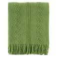 thumbnail image 1 of Green Throw Blankets,Lightweight Textured Knit Blanket with Tassels,Spring Throws,50"x60", 1 of 9