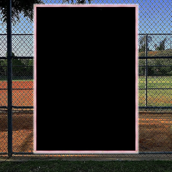 Kapler 6x8 FT Baseball Pitching Backstop, Heavy-Duty PVC Target Net