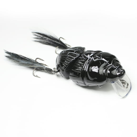 Battle Beetle - Carabus - 2.25" & 5/8 oz