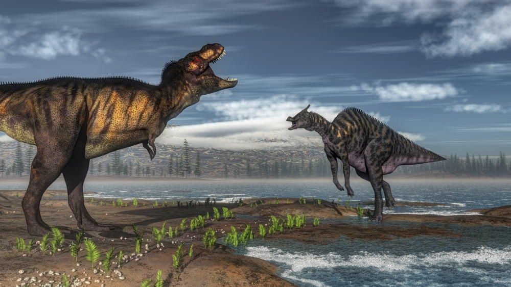 Battle between Tyrannosaurus rex and Saurolophus Canvas Art - Elena DuvernayStocktrek Images (37 x 21)