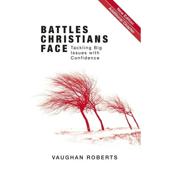 Battles Christians Face: Tackling Big Issues with Confidence, (Paperback)