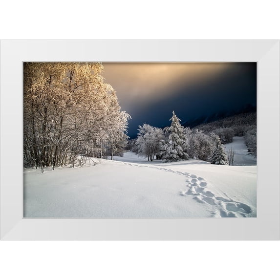 Baudot, Christophe 18x13 White Modern Wood Framed Museum Art Print Titled - Path