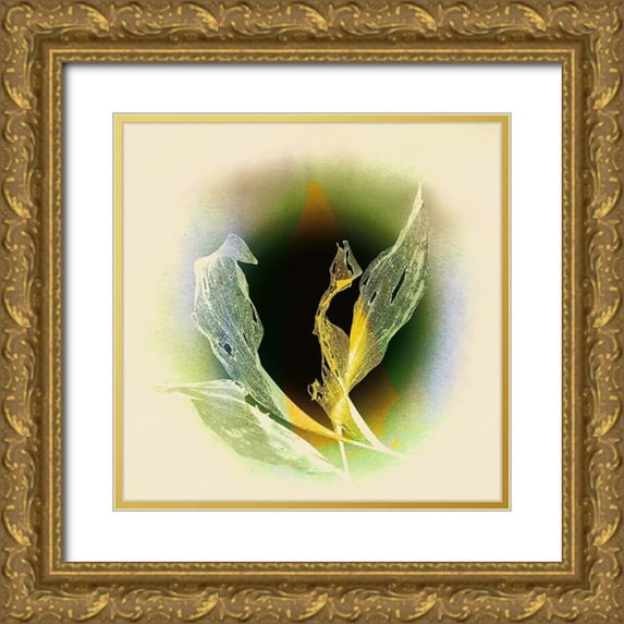 Baumann, Matthias 20x20 Gold Ornate Wood Framed with Double Matting Museum Art Print Titled - Verdeckt