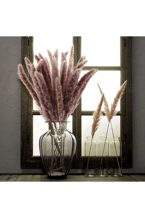 Dried Pampas Grass Plumes 30 Pieces 17 Inch Tall Natural Dried Plants Artificial Faux Reed Flower Stems Bunch for Wedding Arrangements Vase Door Wreath Decor