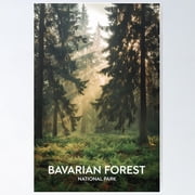 Bavarian Forest National Park Poster, Poster Only