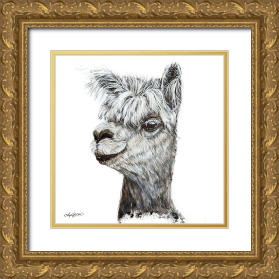 Bawden, Angela 26x26 Gold Ornate Wood Framed with Double Matting Museum Art Print Titled - Alphie the Alpaca