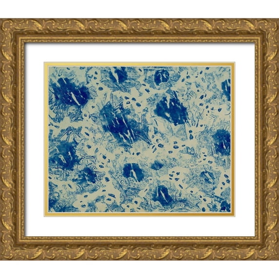 Baxter Mill Archive 32x26 Gold Ornate Wood Framed with Double Matting Museum Art Print Titled - Textures in Blue VI