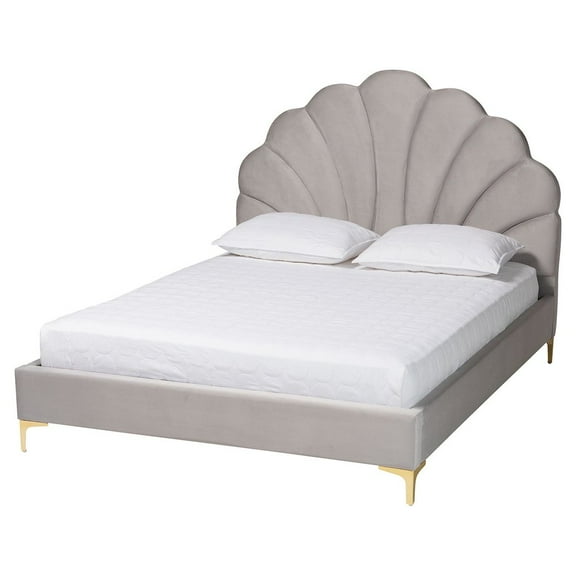 Baxton Studio Glam and Luxe Light Grey Velvet Seashell-Headboard Queen Size Platform Bed