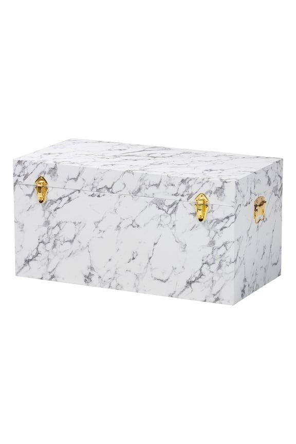 Brenta Storage Trunk - Decorative Organizer Chest
