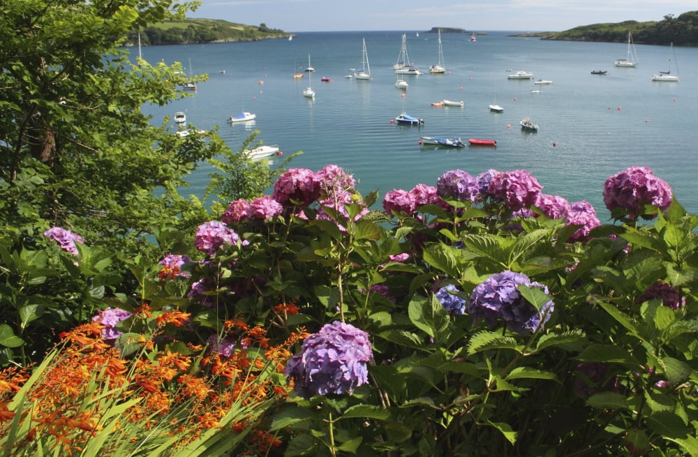 Bay Beside Glandore Village In West Cork In Munster Region Glandore County Cork Ireland Canvas Art - Trish Punch Design Pics (38 x 24)