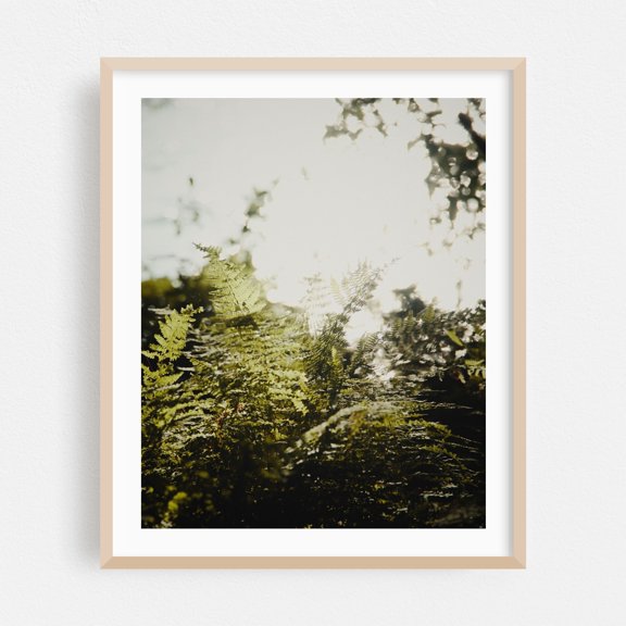 Bay Circuit Forest 03 - Marlborough Massachusetts Photography Oak Framed Wall Art Print 24 x 30 inches