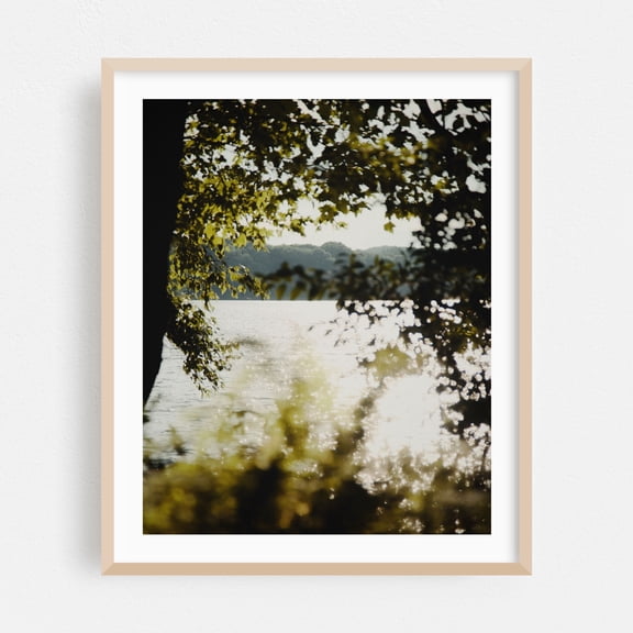 Bay Circuit Forest 06 - Marlborough Massachusetts Photography Nature Landscape Forest Water Scenic Summer Botanical Oak Framed Wall Art Print 6 x 8 inches
