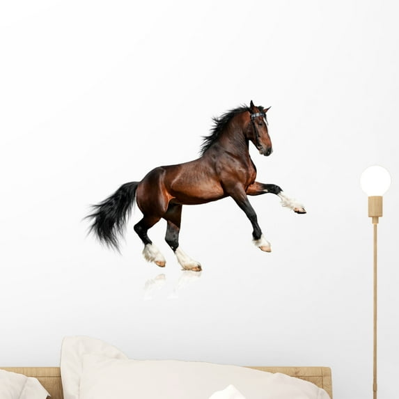 Bay Horse White Wall Decal by Wallmonkeys Peel and Stick Graphic (18 in W x 14 in H) WM268212